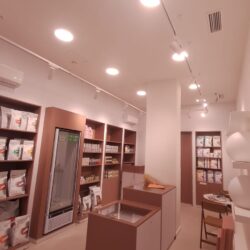 iluminacion-granada-zoofarma-trabajos-realizados-2